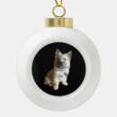 Recherche de terrier de cairn ornements Animal de compagnie