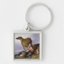 Search for dog napping accessories Sleep