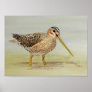 Recherche de commun art Oiseau