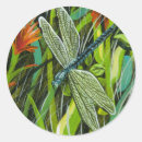 Search for artistic dragonfly crafts party Wildlife