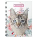 Search for soft kitty Pink