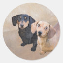 Search for smooth stickers Puppy