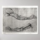 Recherche de bras posters Anatomique