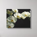 Search for white orchid canvas prints Floral