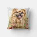 Recherche de pomeranians Dogs