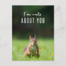 Search for nut with squirrel postcards Funny