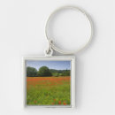 Search for agricultural keychains Cropland
