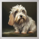 Recherche de griffons posters Chien