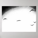 Search for seagull flying posters Photography