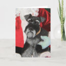 Search for schnauzer christmas cards Miniature