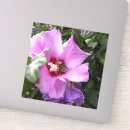 Recherche de arbuste autocollants Fleurs