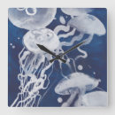 Search for jellyfish clocks Sea life