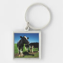 Search for holstein cow keychains Agriculture
