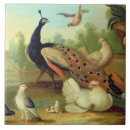 Recherche de beaux arts carreaux Oiseaux