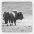 Search for mighty stickers Animals