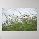 Search for purple bloom art Landscape
