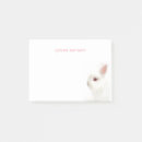 Search for rabbit ear Bunnies