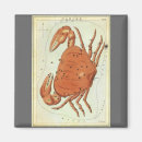 Search for astrology chart magnets Astronomy