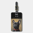 Search for french bulldog accessories Aqua