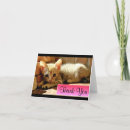 Recherche de chat triste vœux cartes Chaton