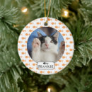 Search for goldfish ornaments Cat