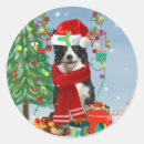 Search for collie dog stickers Animals