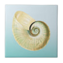 Recherche de nautilus carreaux Océan