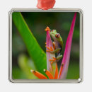 Search for eyeballs ornaments Green