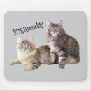 Search for “cat mousepads Kittens