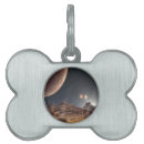 Search for alien bandanas Space