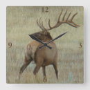 Search for elk clocks Wapiti