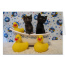 Recherche de frottez Chaton