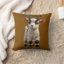 Search for fluffy pillows Cute animal