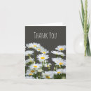 Search for chamomile cards Daisies