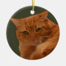 Search for orange tabby cat ornaments Pets