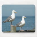 Recherche de mouette tapis souris Côtier