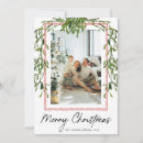 Search for mistletoe christmas cards Foliage