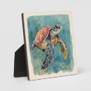 Recherche de tortue plaques Plage