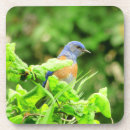 Recherche de color photographie Beau
