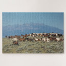 Search for mustangs photography Animals