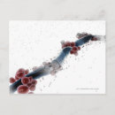 Recherche de microscope cartes postales Horizontal