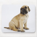 Search for great dane puppy mousepads Nature