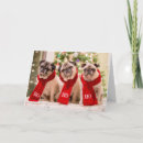 Search for pug christmas cards Funny