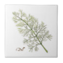 Search for dill Kitchen