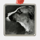 Recherche de toulouse ornements Henri