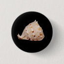 Search for shell round buttons Marine