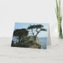 Search for monterey cards Bay