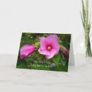Search for wishing speedy recovery cards Floral