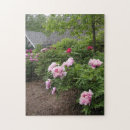 Recherche de peony puzzles Jardin