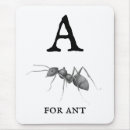 Recherche de fourmi tapis souris Entomologie